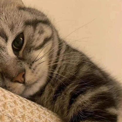 สมาชิกหมายเลข 3627803