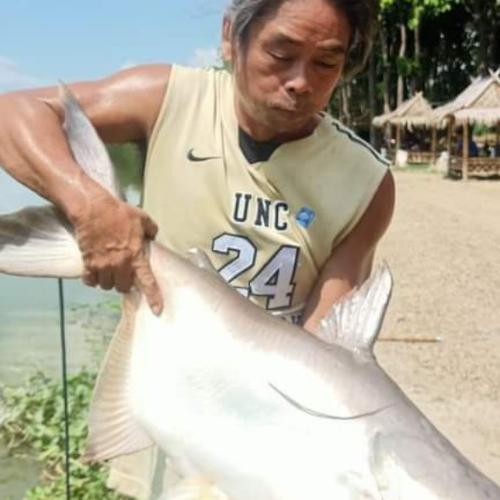 สมาชิกหมายเลข 7631560