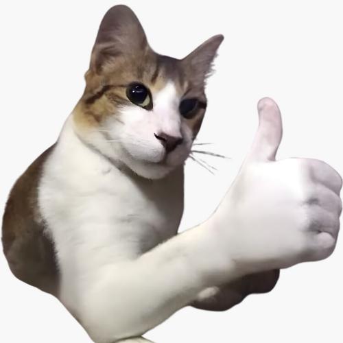 สมาชิกหมายเลข 6958180