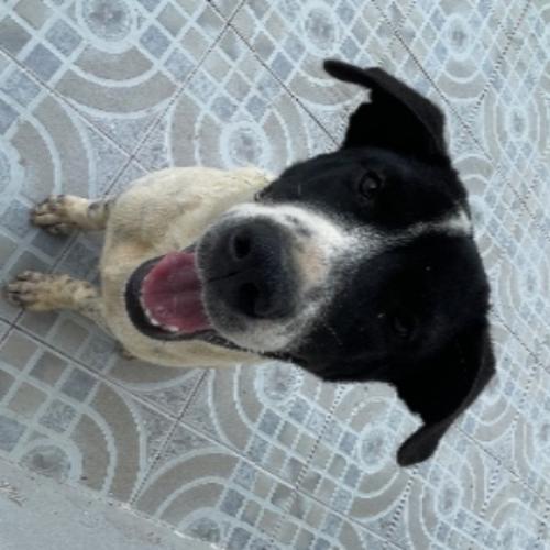 สมาชิกหมายเลข 7015578