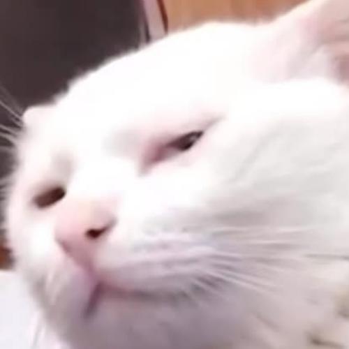 สมาชิกหมายเลข 7524235