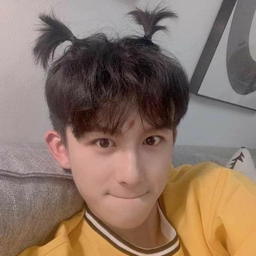 สมาชิกหมายเลข 5250474