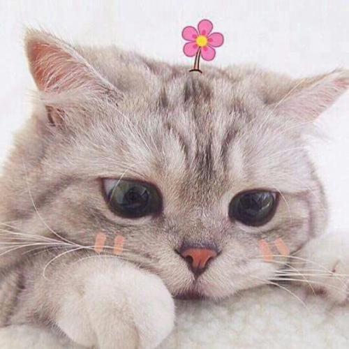 สมาชิกหมายเลข 5646047