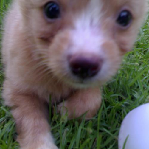 สมาชิกหมายเลข 5334953