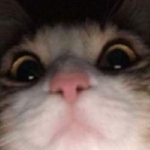 สมาชิกหมายเลข 6855692