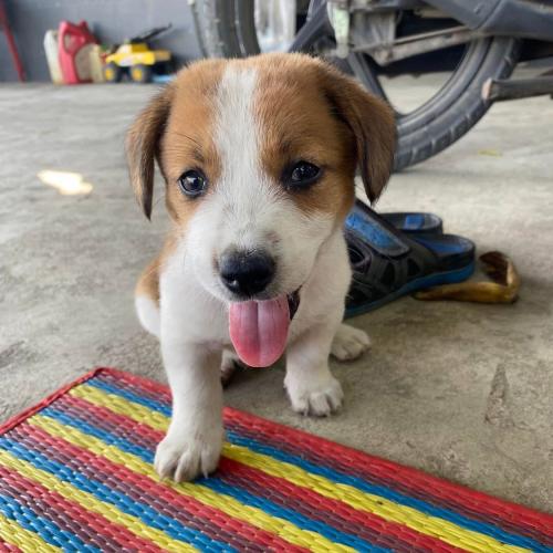 สมาชิกหมายเลข 7111666