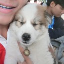 สมาชิกหมายเลข 2522757