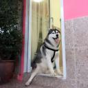 สมาชิกหมายเลข 4048894