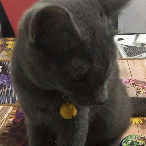 สมาชิกหมายเลข 2983305