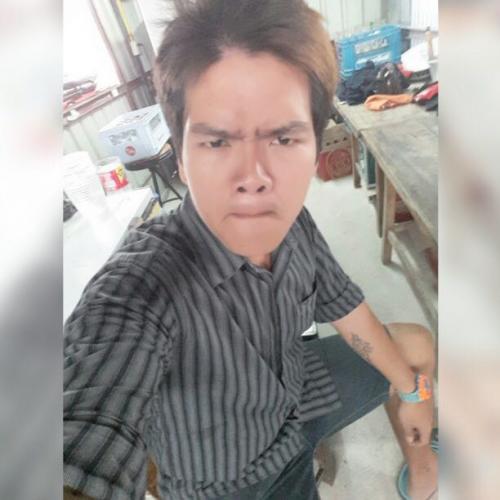 สมาชิกหมายเลข 4503651