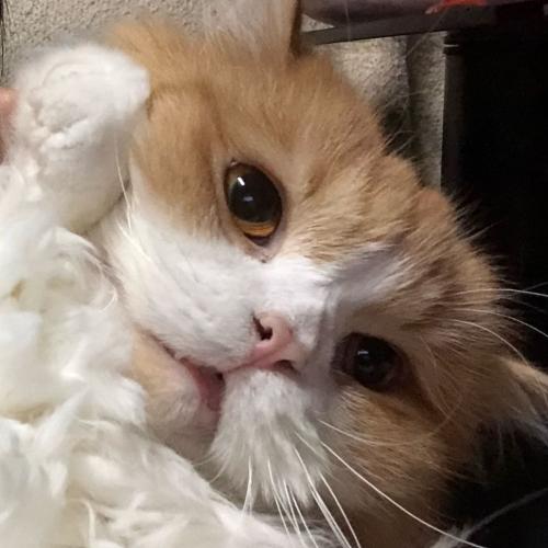 สมาชิกหมายเลข 4800047