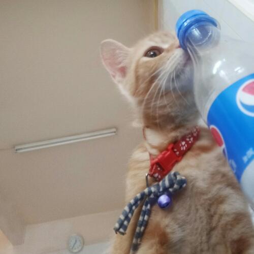 สมาชิกหมายเลข 5223636