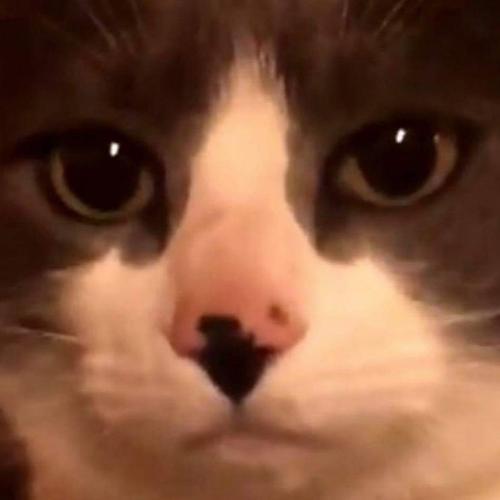 สมาชิกหมายเลข 5223863