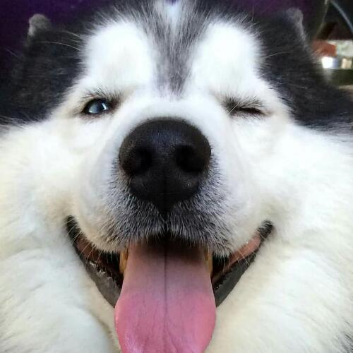 สมาชิกหมายเลข 4875736