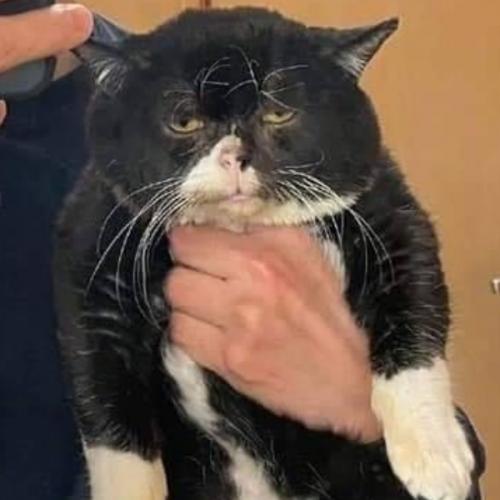 สมาชิกหมายเลข 5968375