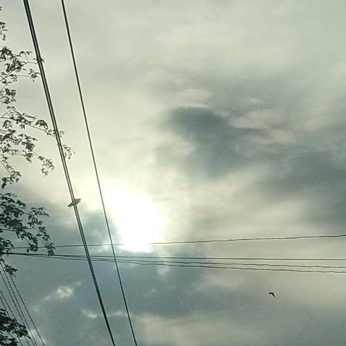 สมาชิกหมายเลข 1405508