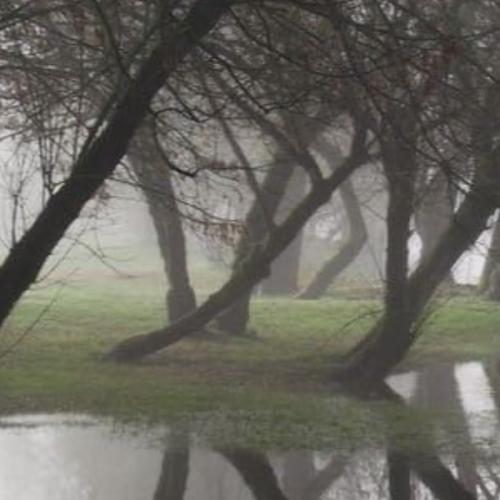 สมาชิกหมายเลข 8533929