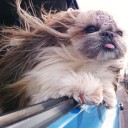 สมาชิกหมายเลข 4049225