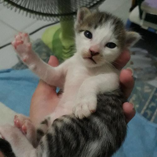 สมาชิกหมายเลข 1662054