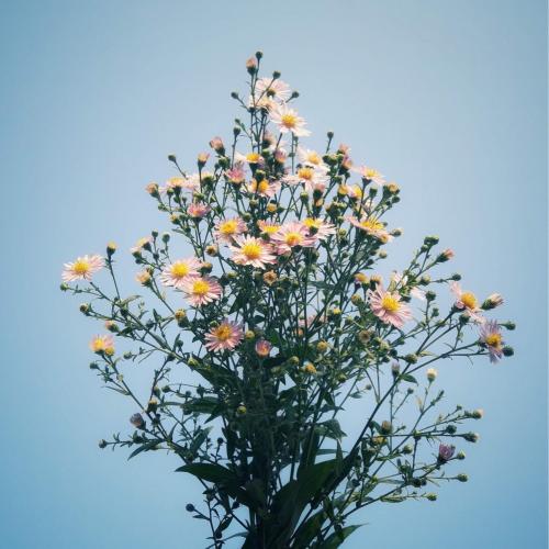 สมาชิกหมายเลข 3848047