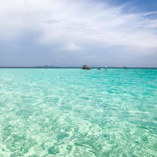 สมาชิกหมายเลข 4811628