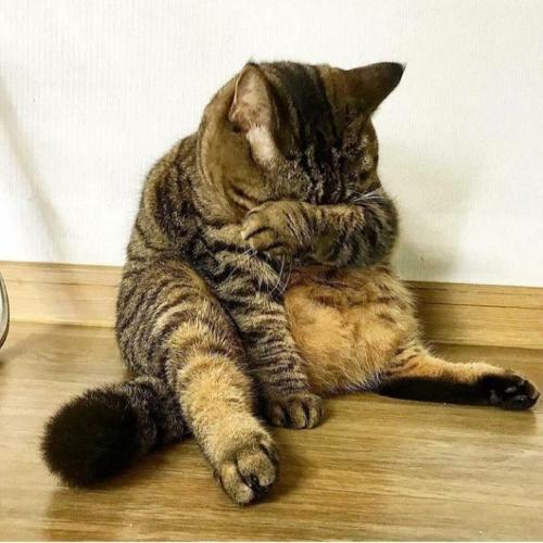 สมาชิกหมายเลข 5224386