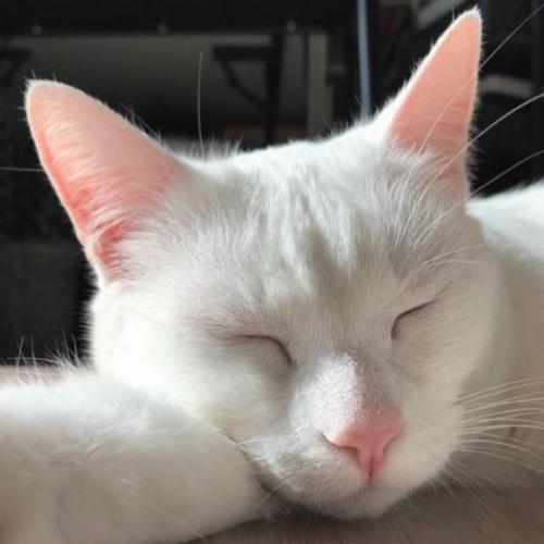 สมาชิกหมายเลข 5646810