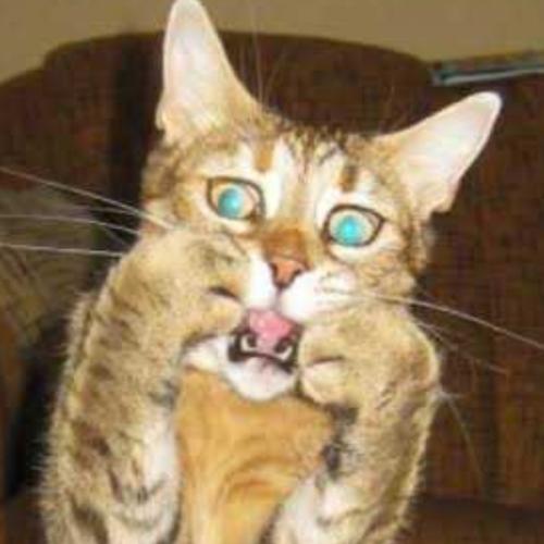 สมาชิกหมายเลข 5647303