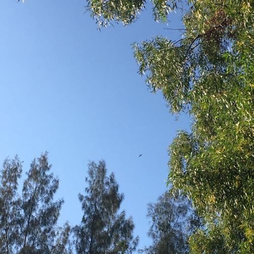 สมาชิกหมายเลข 5647371