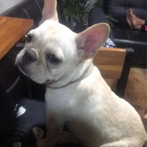 สมาชิกหมายเลข 6218674