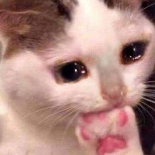 สมาชิกหมายเลข 6755863