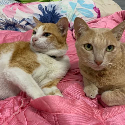 สมาชิกหมายเลข 6867833