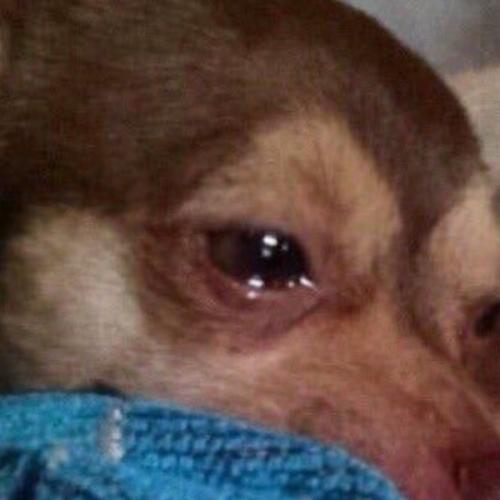 สมาชิกหมายเลข 6868088