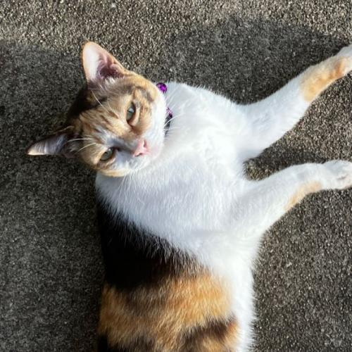 สมาชิกหมายเลข 6933286