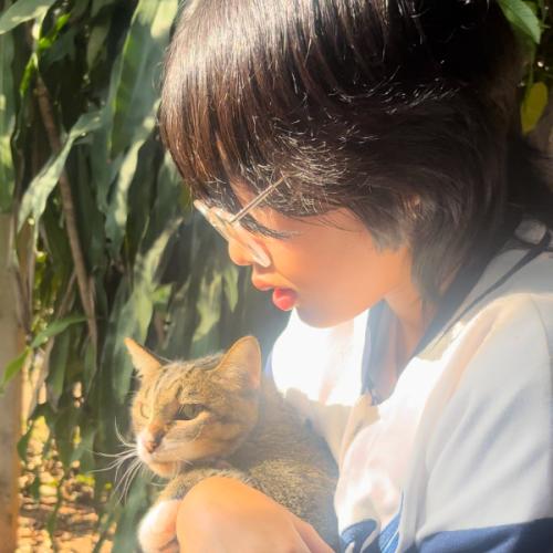 สมาชิกหมายเลข 7633606