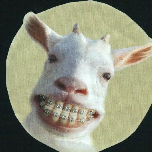 สมาชิกหมายเลข 4049697