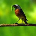 กว่าจะรวมใจ