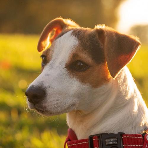 สมาชิกหมายเลข 5224609