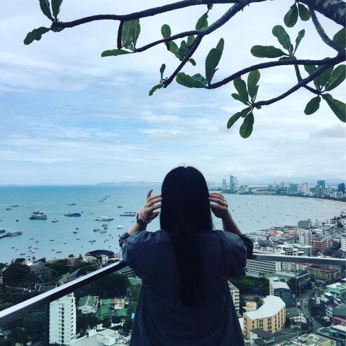 สมาชิกหมายเลข 4464342