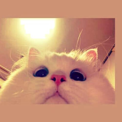 สมาชิกหมายเลข 5647863