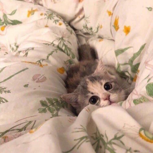 สมาชิกหมายเลข 6219491