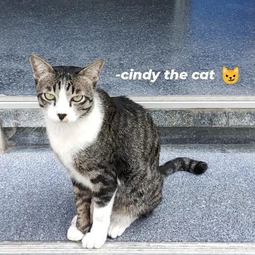 สมาชิกหมายเลข 6615942