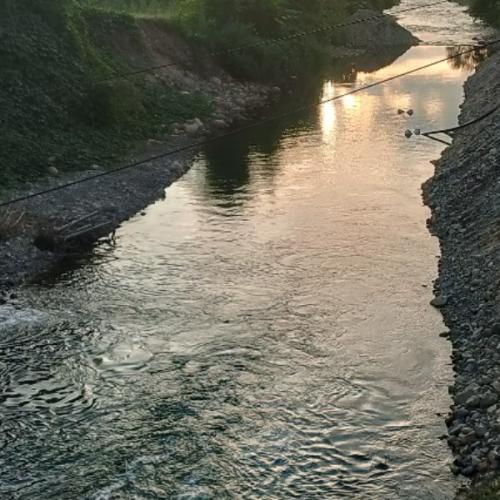 สมาชิกหมายเลข 4671277