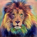 สมาชิกหมายเลข 4049975