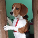 สมาชิกหมายเลข 857743