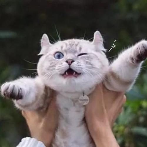 สมาชิกหมายเลข 4789281