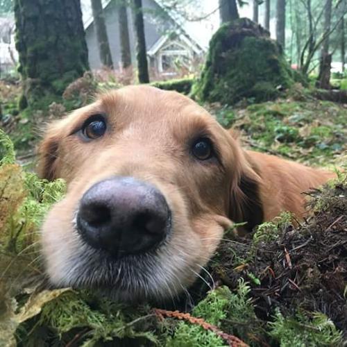 สมาชิกหมายเลข 4838056