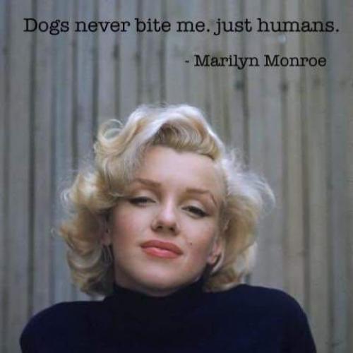 สมาชิกหมายเลข 1150482