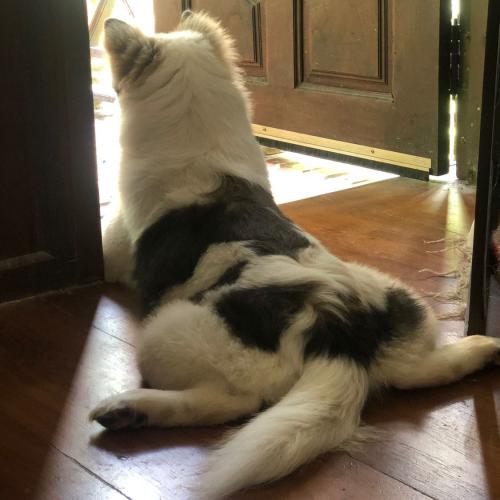 สมาชิกหมายเลข 5648262