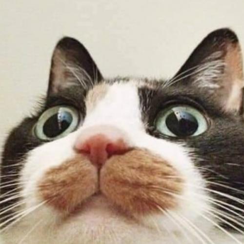 ตกใจตื่น ในเรือดำน้ำ